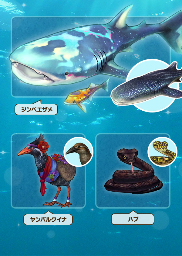 ジンベエザメ、ヤンバルクイナ、ハブ